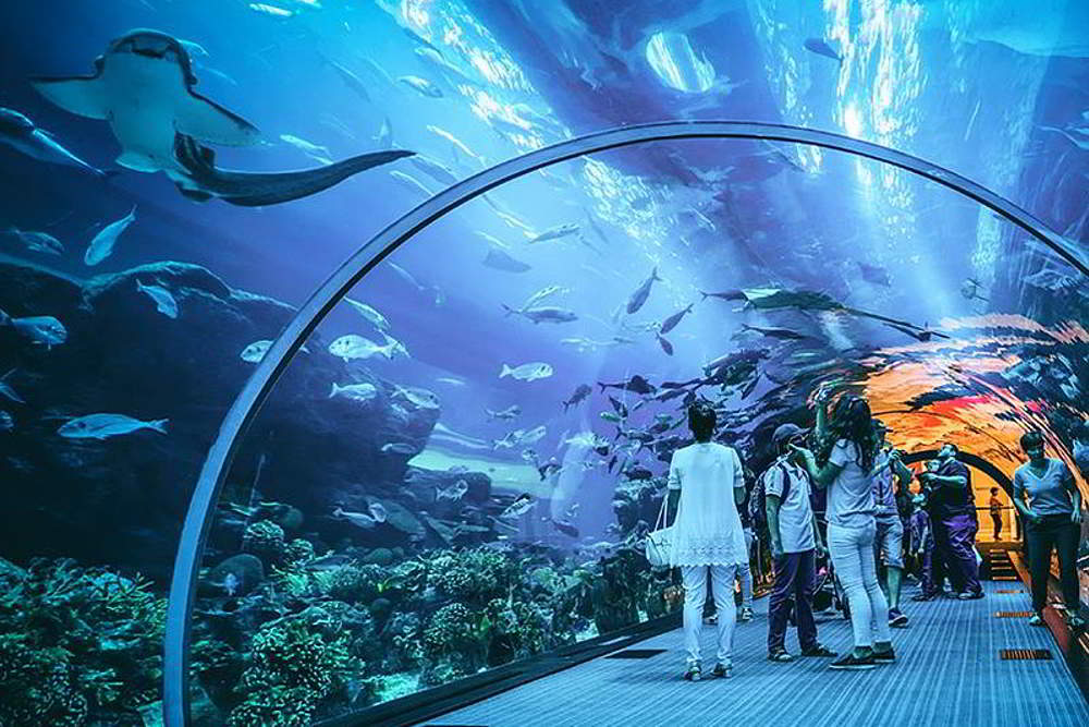 Dubai Aquarium Opening times, Prices, Tickets